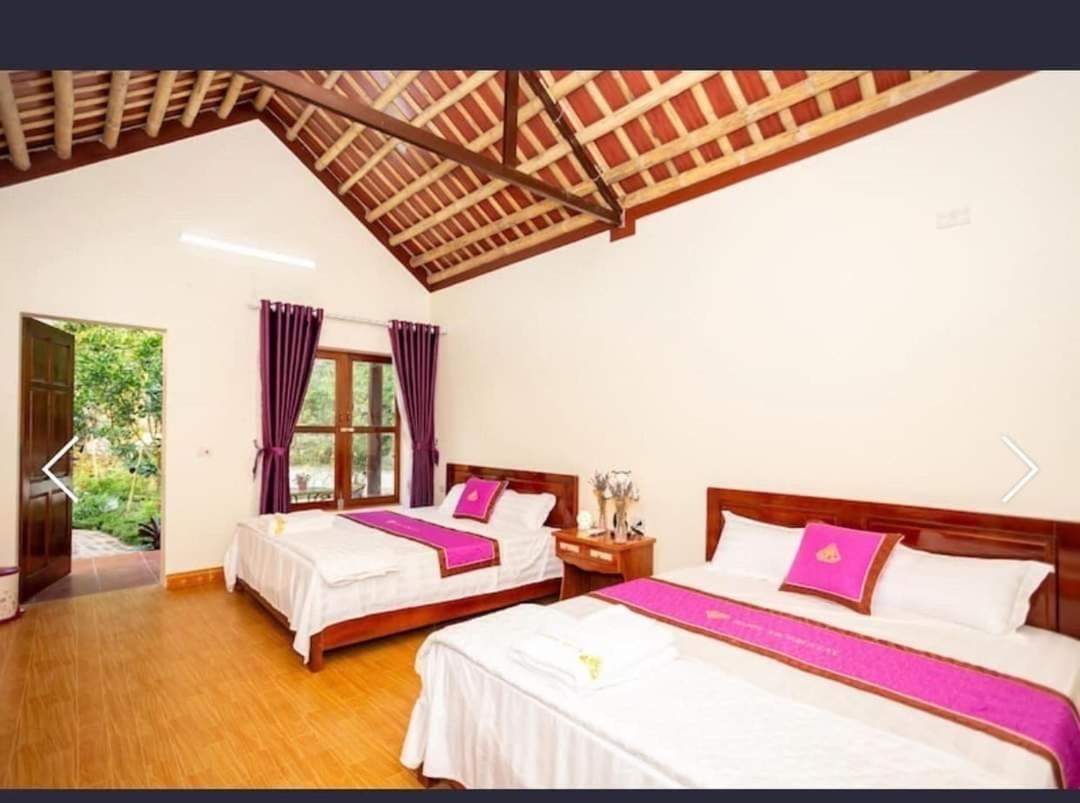 Viet Anh Homestay Ninh Binh Dış mekan fotoğraf
